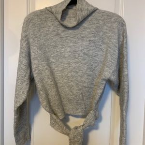 Aritzia Wilfred Sweater